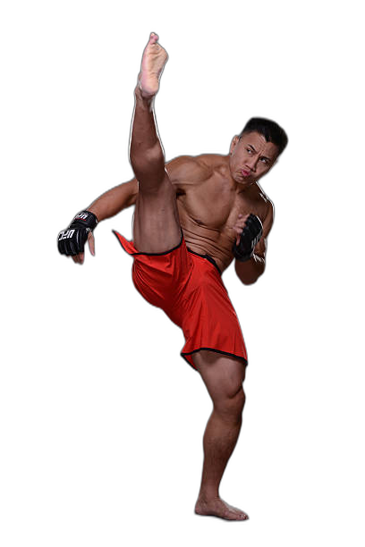 Cung Le