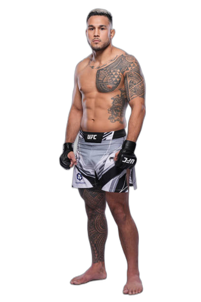 Brad Tavares