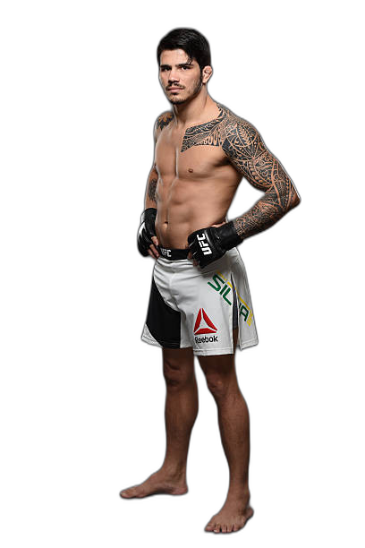 Erick Silva