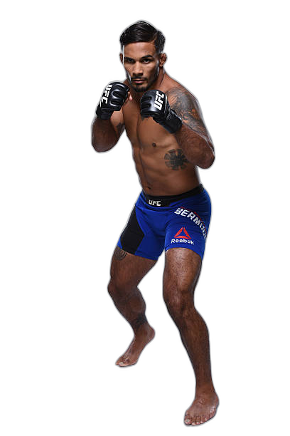 Dennis Bermudez