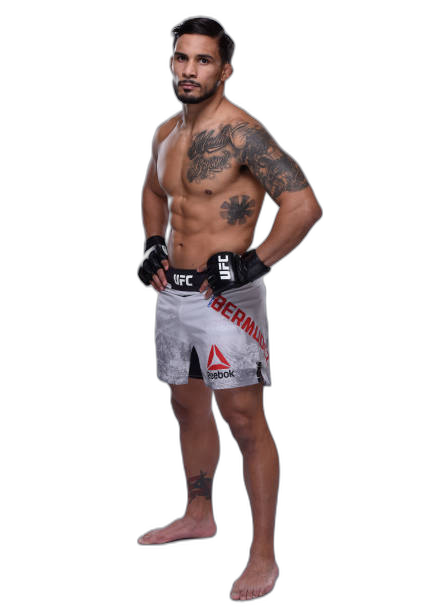 Dennis Bermudez