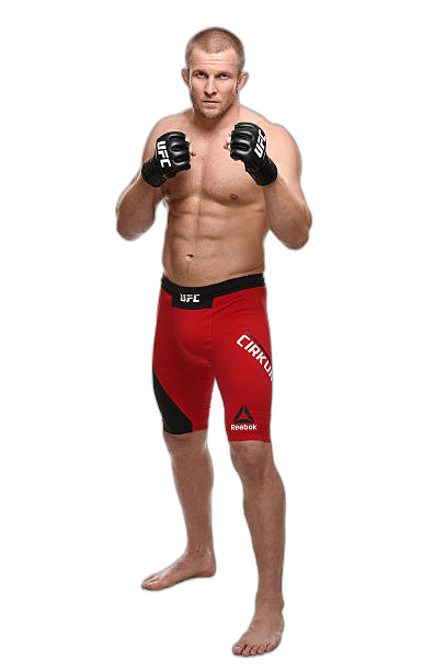 Misha Cirkunov