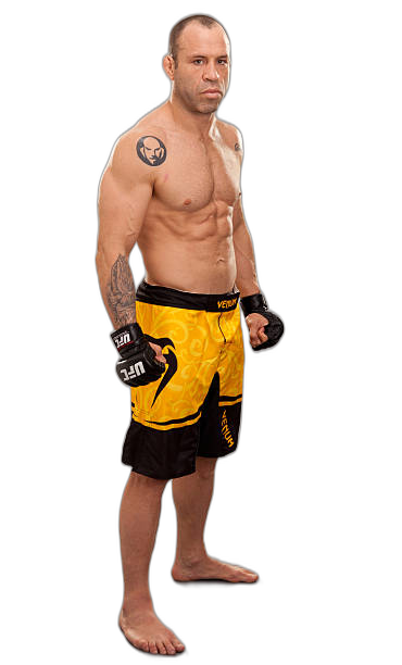 Wanderlei Silva