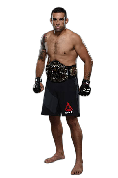 Fabricio Werdum