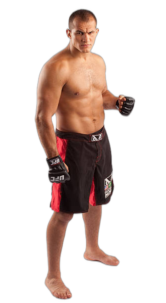 Junior Dos Santos