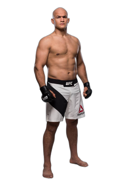 Junior Dos Santos