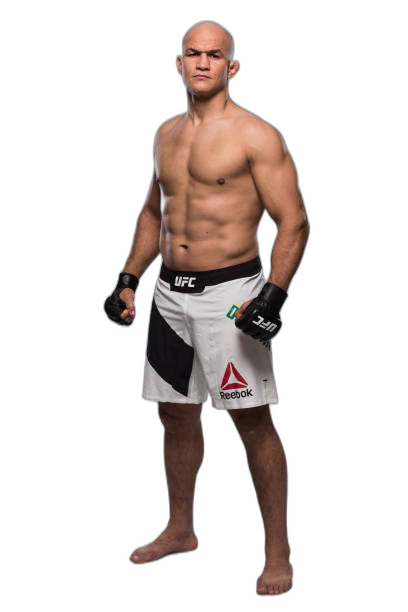 Junior Dos Santos