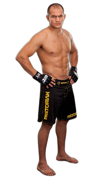 Junior Dos Santos