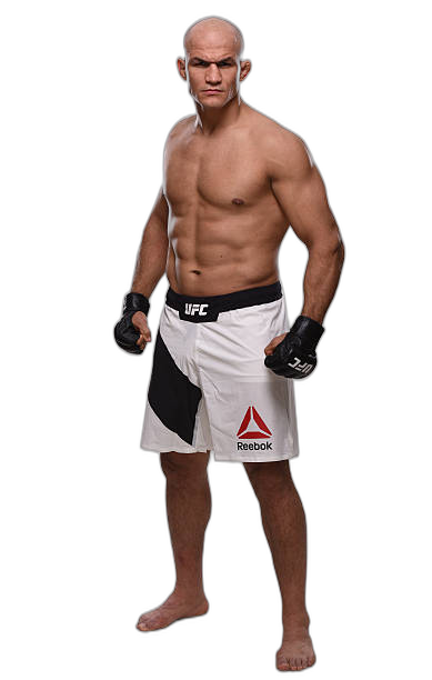 Junior Dos Santos