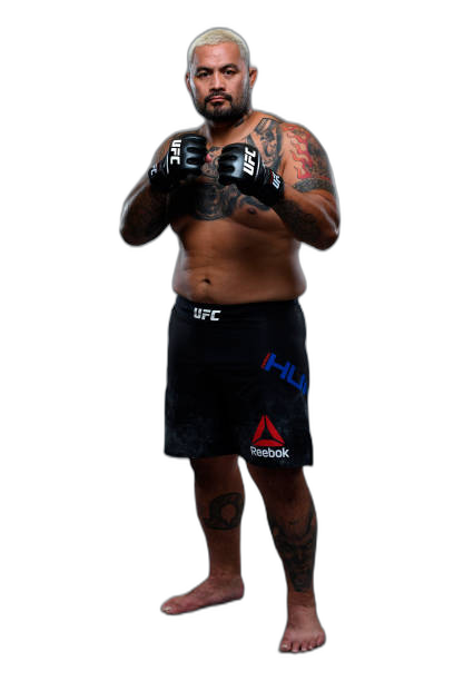 Mark Hunt