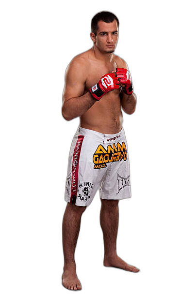 Gegard Mousasi