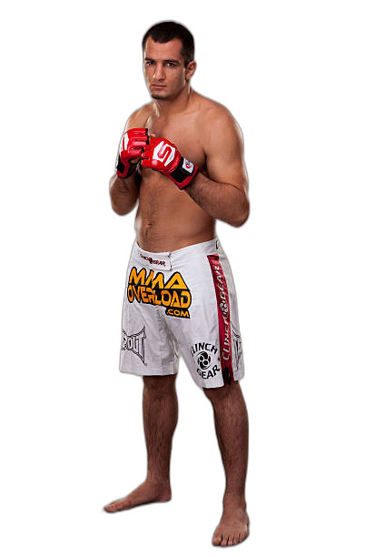 Gegard Mousasi