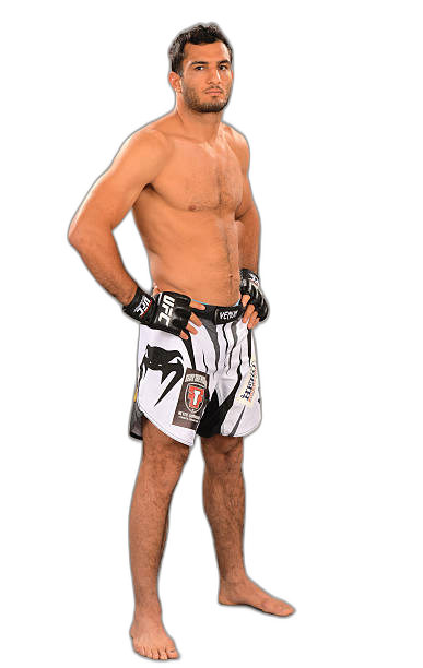 Gegard Mousasi