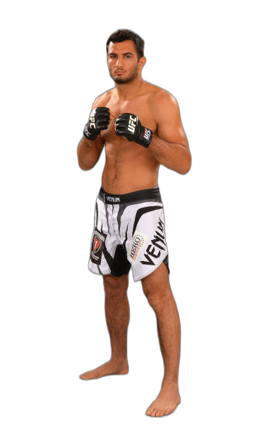 Gegard Mousasi